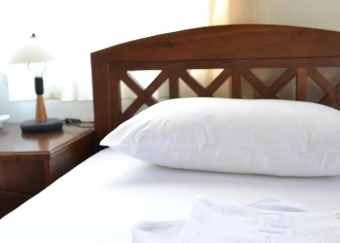 Ontas Traditional 하니아