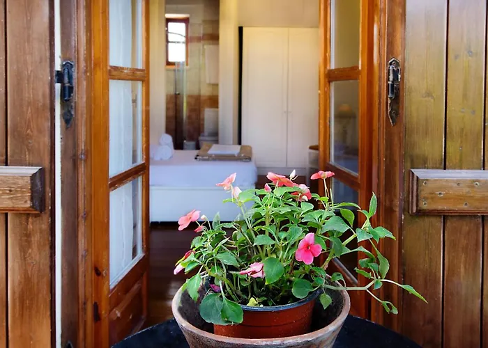 Ontas Traditional 하니아